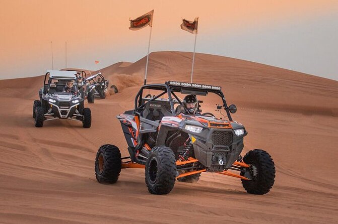 Qatar: Sunrise or Sunset Desert Tour in Doha, unforgettable trip - Should you book the Doha desert tour?