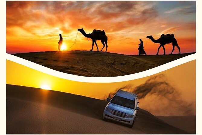 Qatar Sunset Desert Safari: Dune Bashing & Golden Sands Adventure - Key points before you book