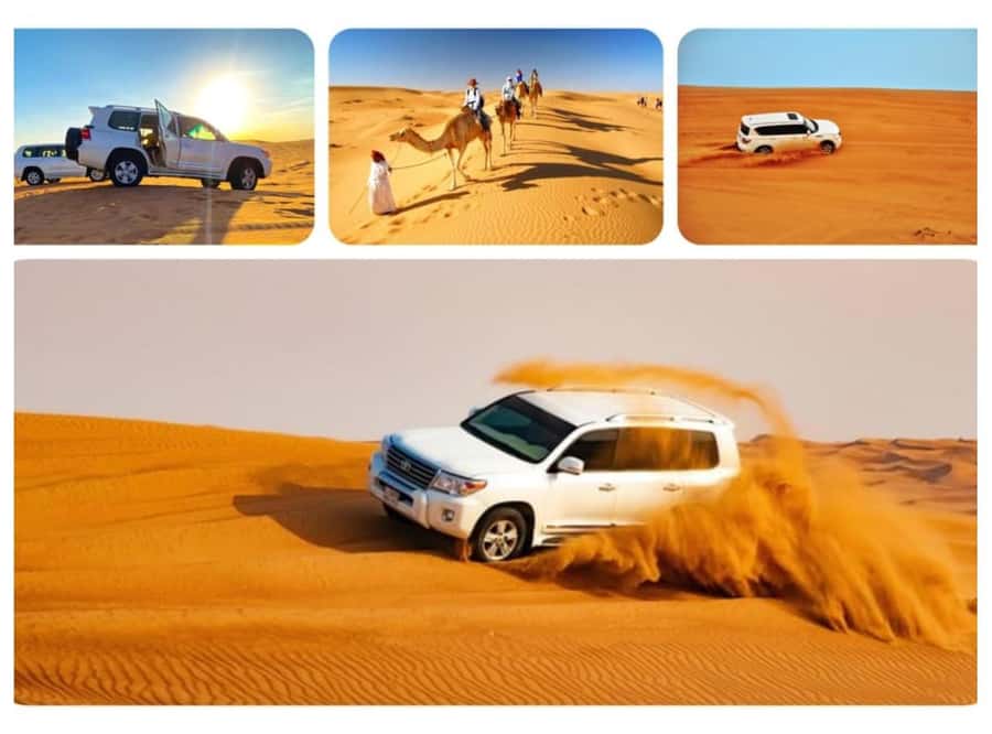 Qatar: Sunset Desert Safari with Camel Ride & Sandboarding - Who Will Enjoy It Most