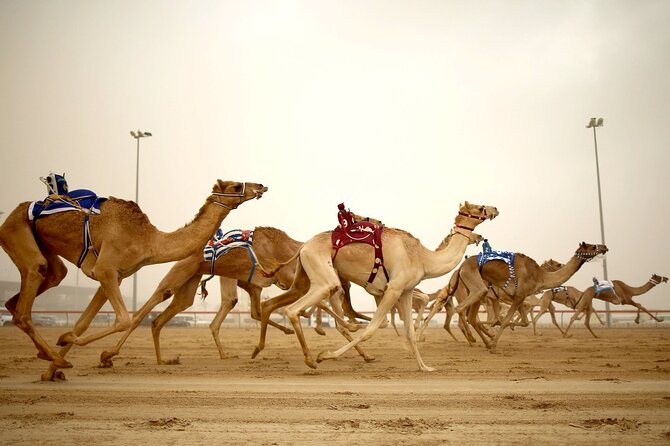 Qatar West Coast tour to Richard Serra Sculpture and Mushroom Rock Formation - Why this west coast outing is worth your half-day