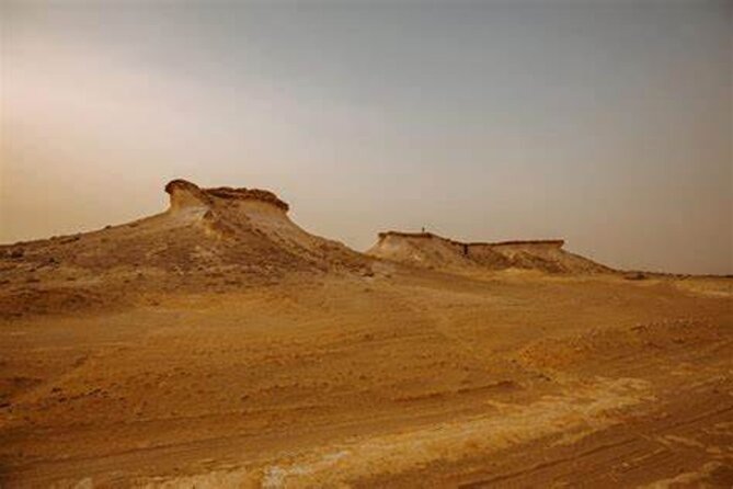 Qatar West Coast Zkreet Richard Sierra Camel Track Rock Formation - Key points to know before you book