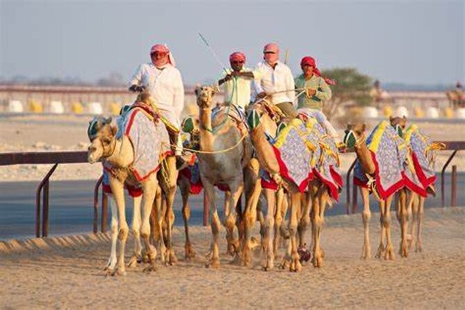 Qatar West Coast Zkreet Richard Sierra Camel Track Rock Formation - Leaving Doha for Al Shahaniya