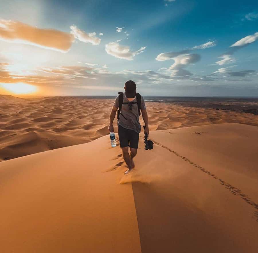 Quad Bike/Buggy, Desert Safari, Camel Ride, Dune Bashing - Camel riding and Bedouin culture
