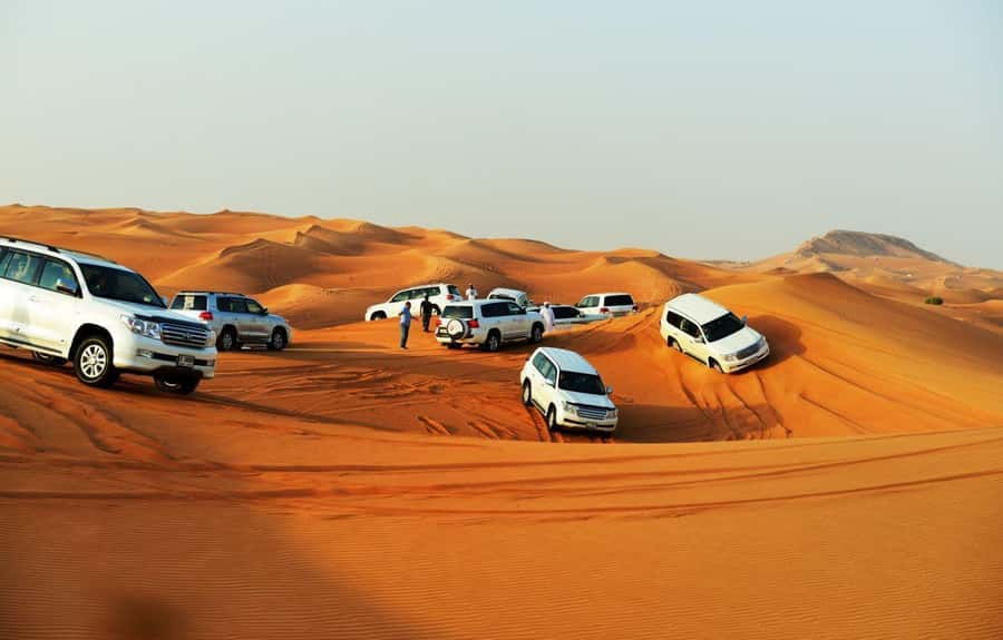 Quad Bike/Buggy, Desert Safari, Camel Ride, Dune Bashing - Drinks, dessert, and the practical details