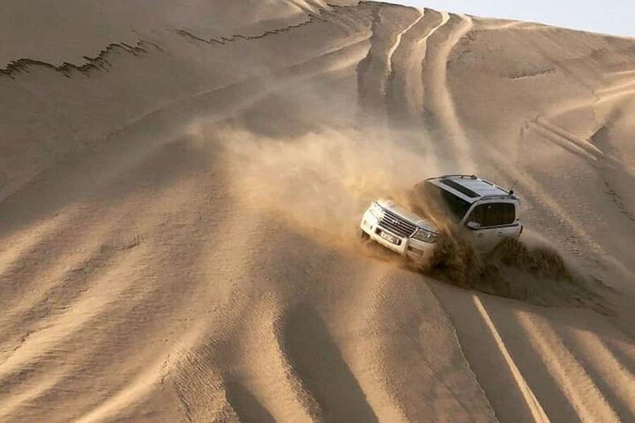 Relax Desert Safari, Sand Dune Bashing (Private Safari) - Key points to know before you book