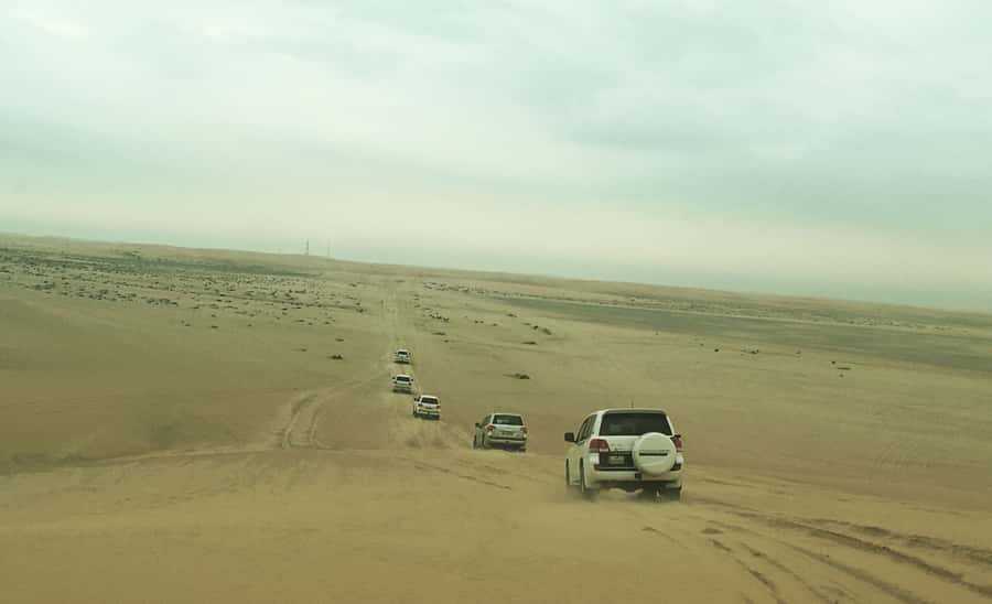 Relax Desert Safari, Sand Dune Bashing (Private Safari) - From Doha to Sealine Beach