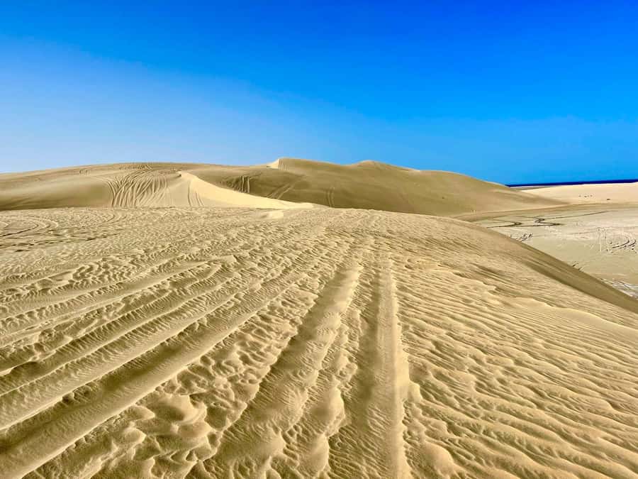 Relax Desert Safari, Sand Dune Bashing (Private Safari) - A sunset or sunrise setting, depending on timing