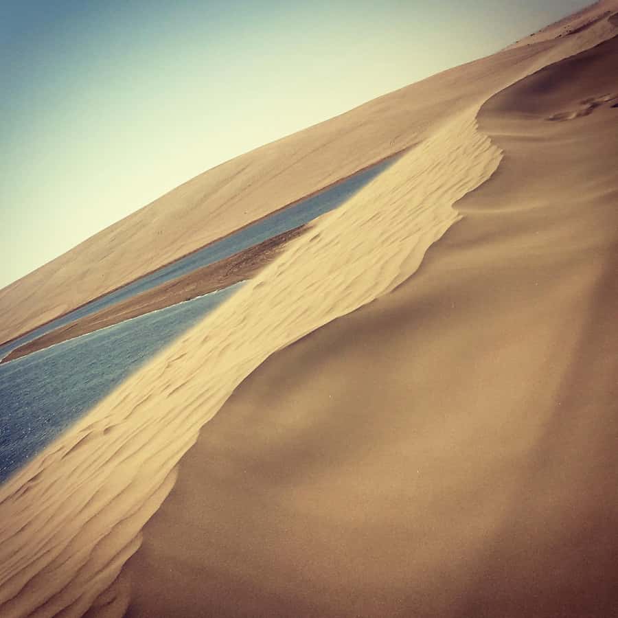 Relax Desert Safari, Sand Dune Bashing (Private Safari) - What the $48 price really includes
