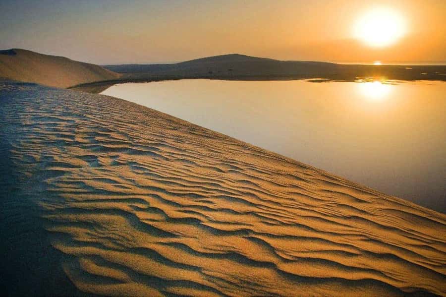 Relax Desert Safari, Sand Dune Bashing (Private Safari) - Camel riding at the base camp