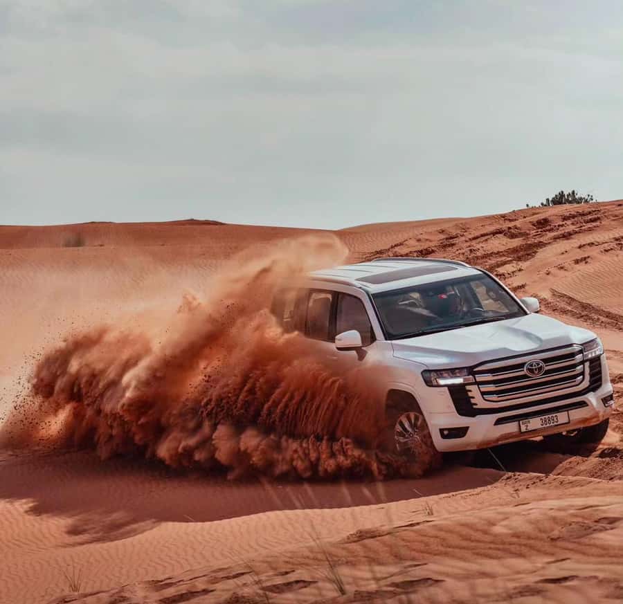 Relax Inland Sea Tour, Desert Safari, Camel Ride, SandBoard - What the $24 price really includes