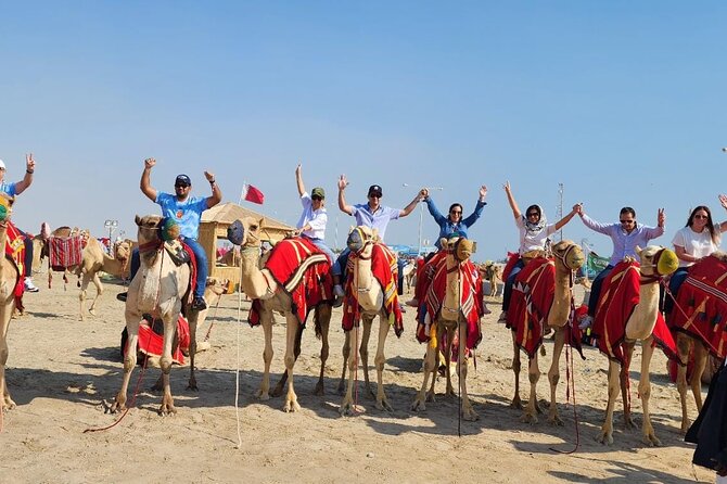 Relax on the Aladdin's carpet & inhale the magical sunset - Starting with a camel ride