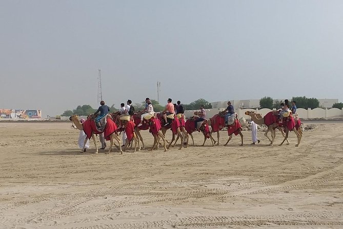 Sharing or Private Safari, Sand Boarding, Camel Ride, inland Sea Quick swim - Reaching the Inland Sea near the Saudi border