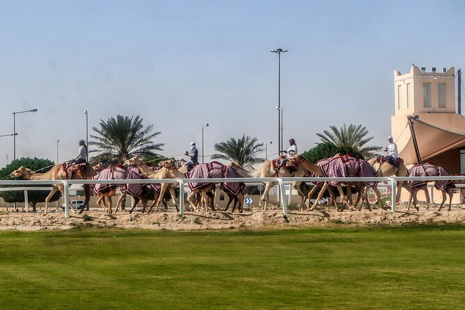 Sheikh Faisal, Camel Race Track visit - Watching Qatar’s camel-racing tradition
