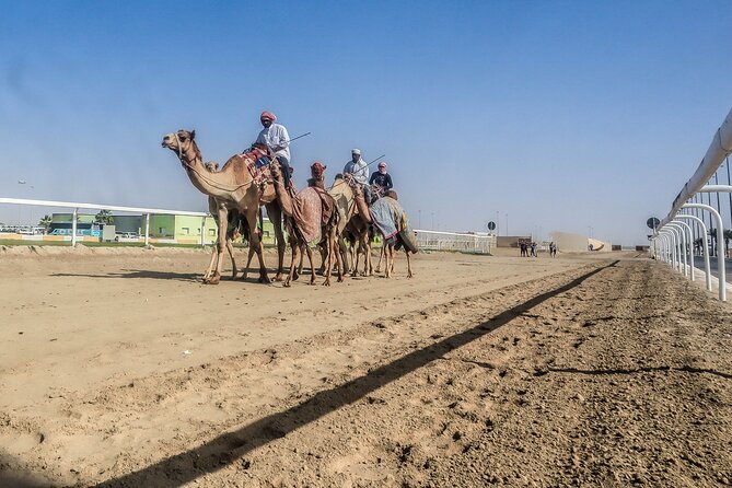 Sheikh Faisal, Camel Race Track visit - Is $137.62 a fair price?