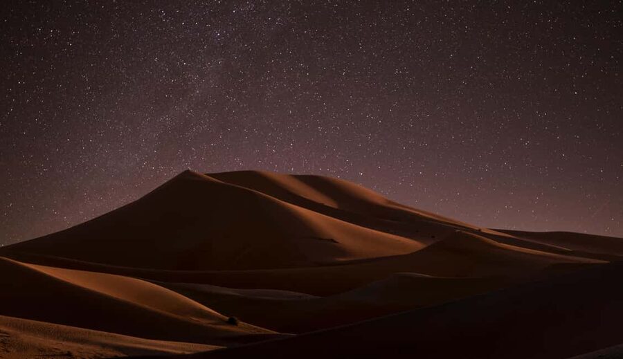 Star Studded Night Desert Safari Doha Qatar - Key points to know before booking