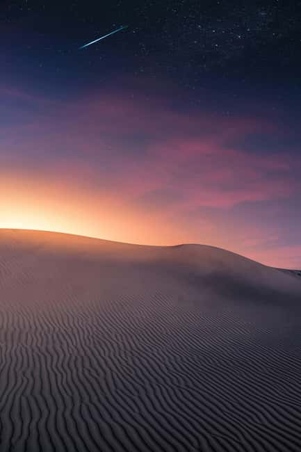 Star Studded Night Desert Safari Doha Qatar - Starting with camels and traditional tea
