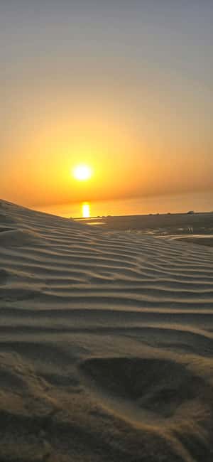 Sunrise or Sunset desert Safari with Sandboarding in Qatar - Key points at a glance