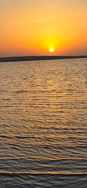 Sunrise or Sunset desert Safari with Sandboarding in Qatar - Pickup from your accommodation in Qatar
