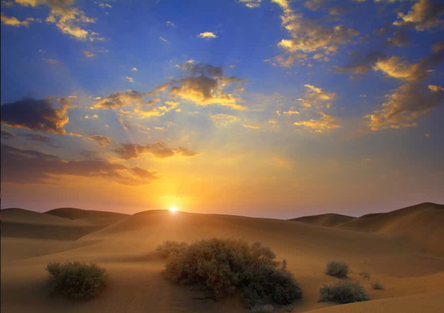 Sunrise : Privare Dune Bashing, Camel Ride & Sandboarding - Leaving Doha before sunrise