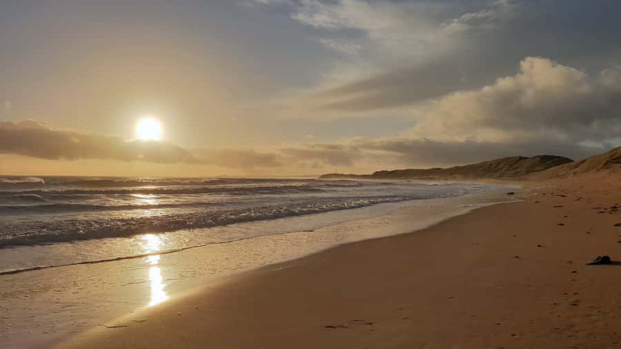 Sunrise : Privare Dune Bashing, Camel Ride & Sandboarding - Sandboarding on the golden slopes