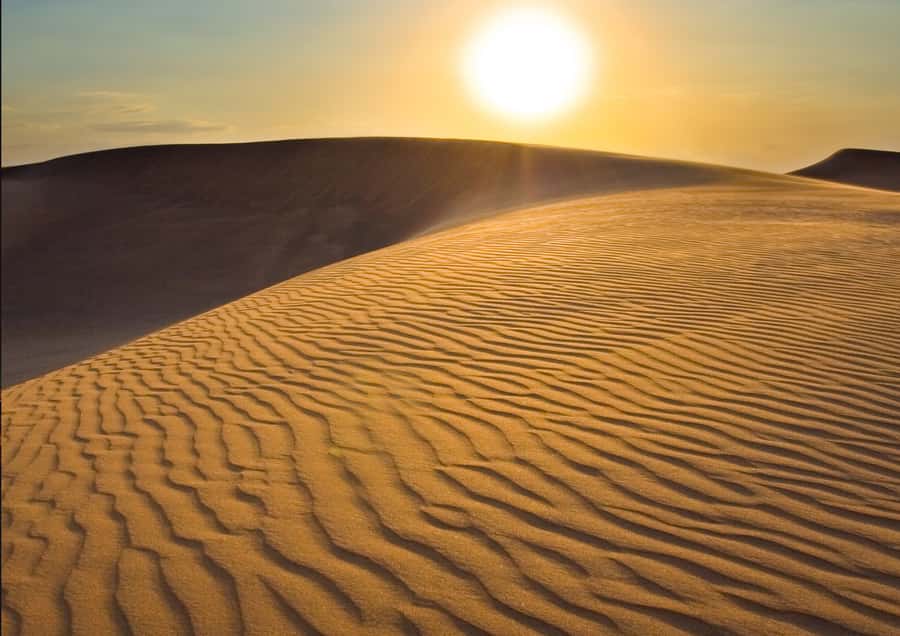 Sunrise : Privare Dune Bashing, Camel Ride & Sandboarding - Visiting the Inland Sea near Sealine