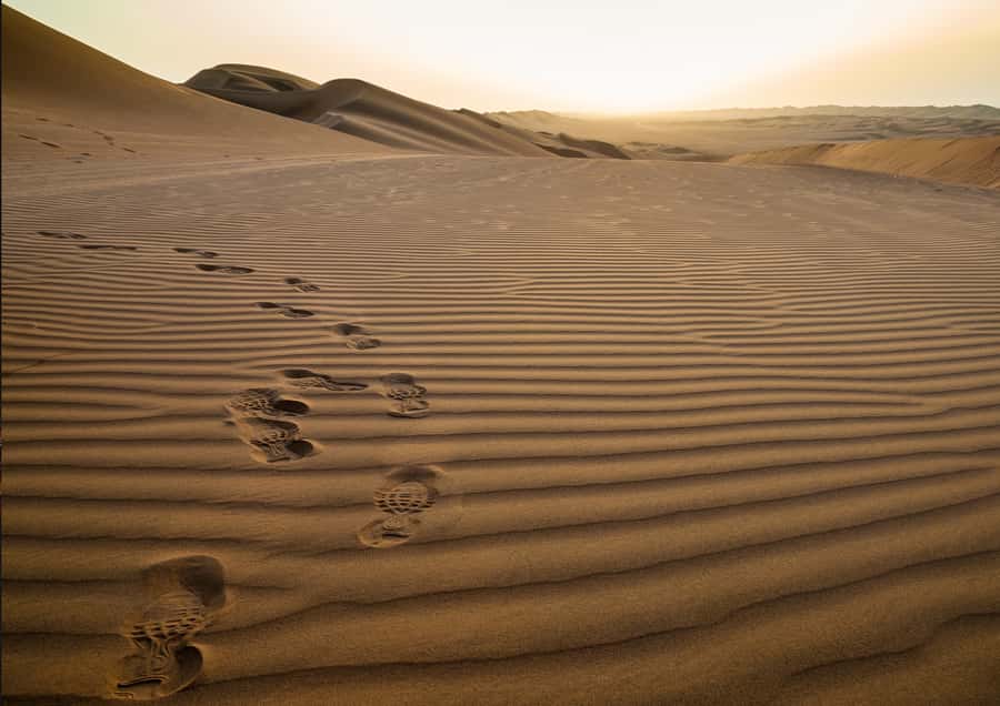Sunrise : Privare Dune Bashing, Camel Ride & Sandboarding - A 20-minute camel stop at Sealine