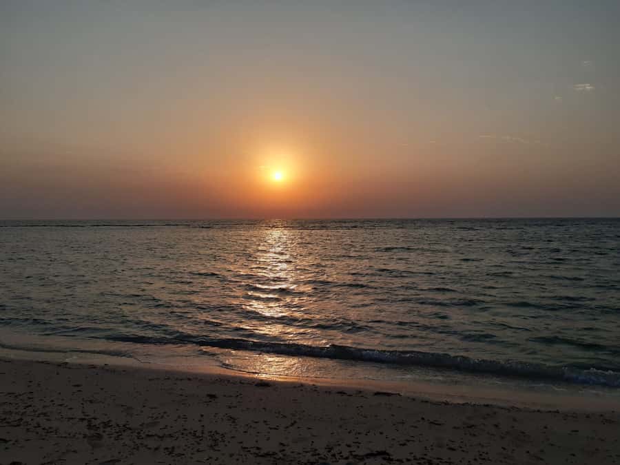 Sunrise : Privare Dune Bashing, Camel Ride & Sandboarding - What the $30 price includes