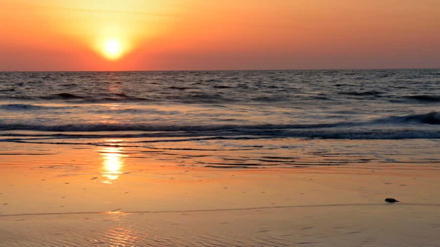 Sunrise : Privare Dune Bashing, Camel Ride & Sandboarding - Who will enjoy this tour most