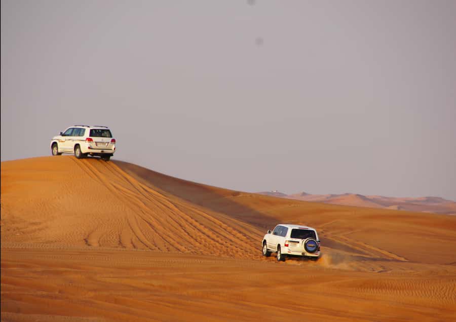 Sunrise : Privare Dune Bashing, Camel Ride & Sandboarding - The 90-minute dune-bashing run