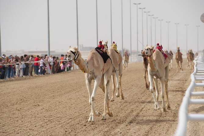Sunset Keshta at Zekreet | Art, Adventure & Arabian Picnic - How the guides shape the experience