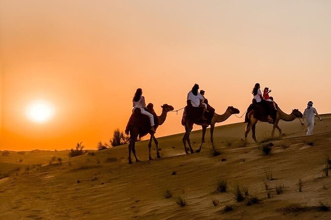 Thrilling 4-Hour Dune Bashing & Camel Ride Safari to Inland Sea - An hour of dune bashing at Sealine