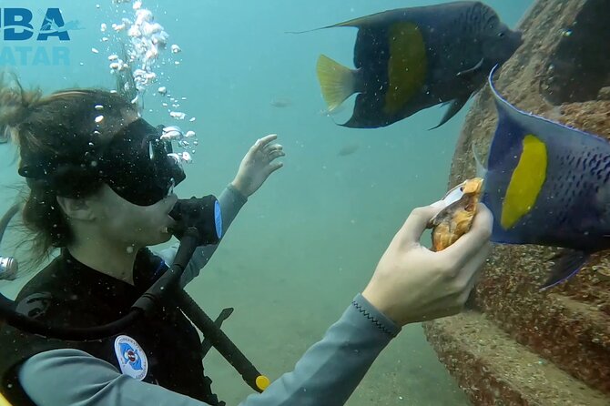 Try Scuba dive in Qatar - What the $175 price really covers