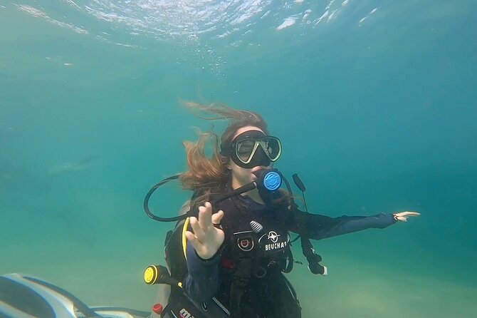 Try Scuba dive in Qatar - Reaching Sealine Beach from Doha