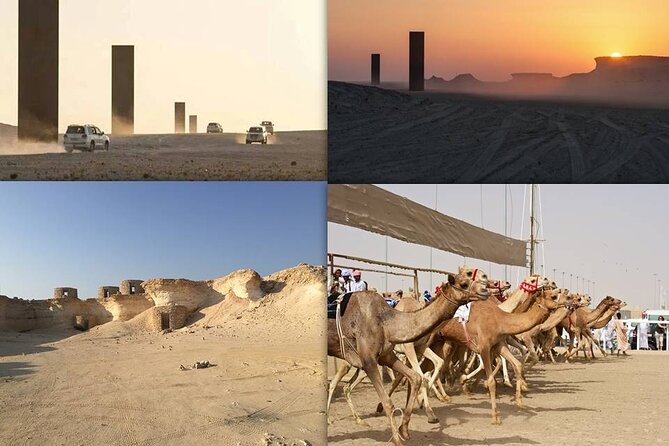 West Coast and Camel Race Track Visit - Key points at a glance
