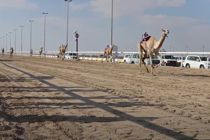 West Of Qatar, Mushroom Rocks, Camel Racing Track, Richard Serra - Mushroom Rocks and the odd beauty of wind-shaped stone