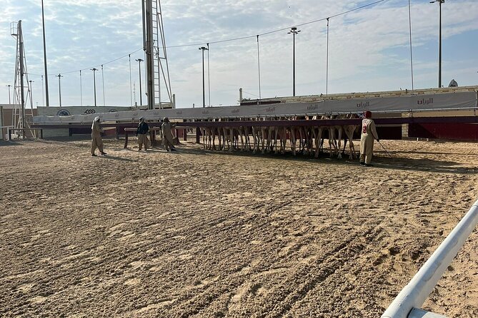 West Of Qatar, Mushroom Rocks, Camel Racing Track, Richard Serra - Who will enjoy this western Qatar outing?