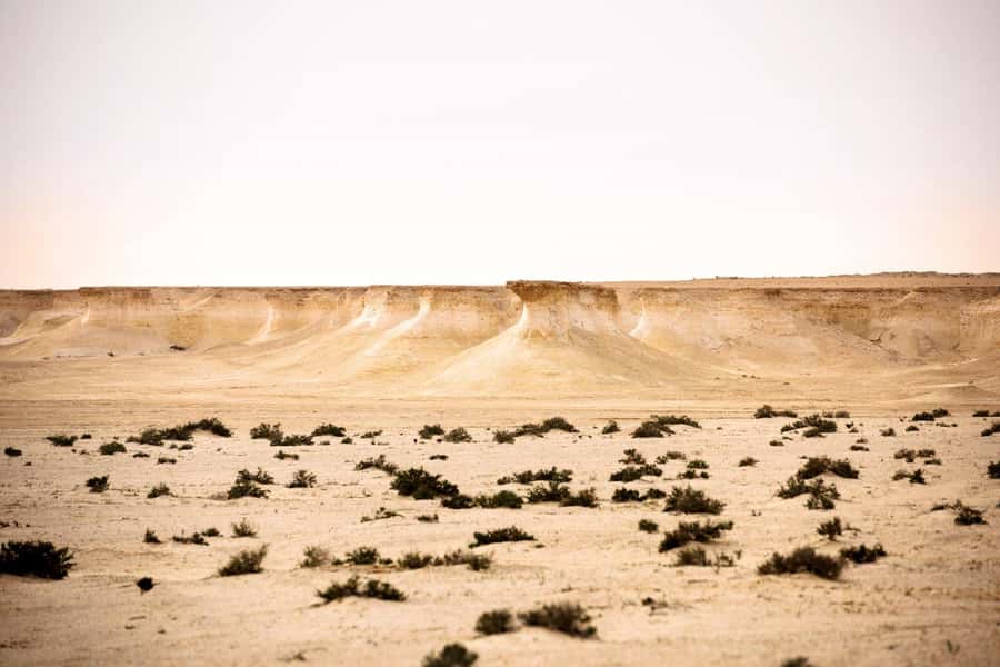 West of Qatar Richard Serra, Mushroom Hills, CamelRace track - Mushroom Hills and Qatar’s unusual rock shapes