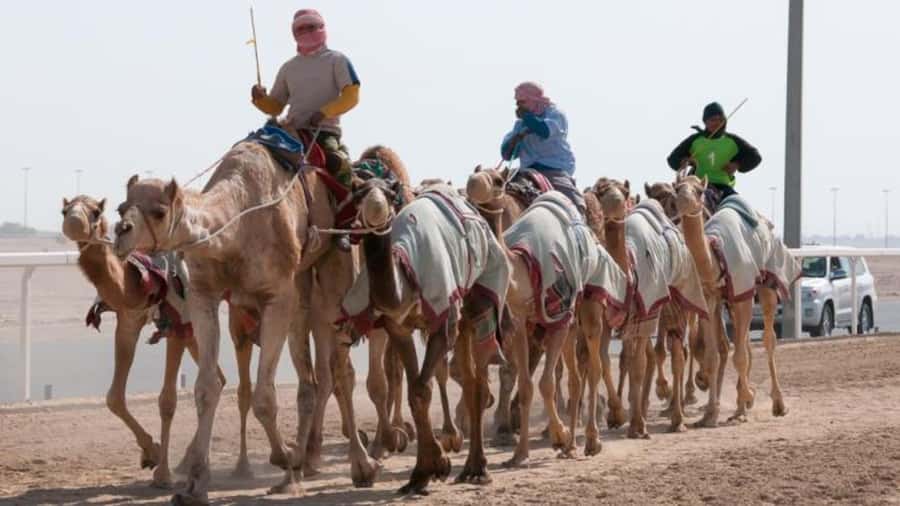 West Qatar-Doha Richard sierra,camel race,mushroom rock - Key points at a glance