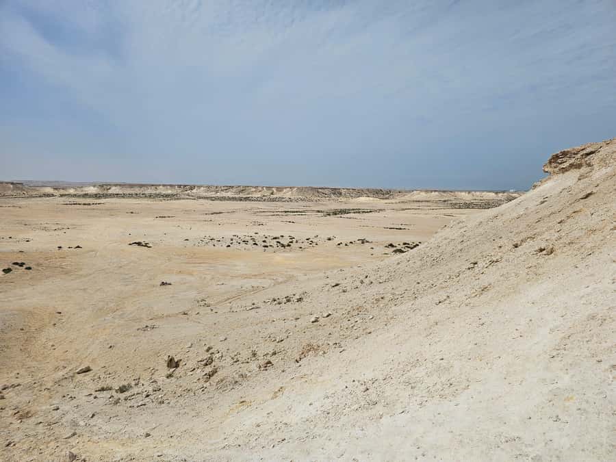 West Qatar-Doha Richard sierra,camel race,mushroom rock - Who Should Book This West Qatar Tour
